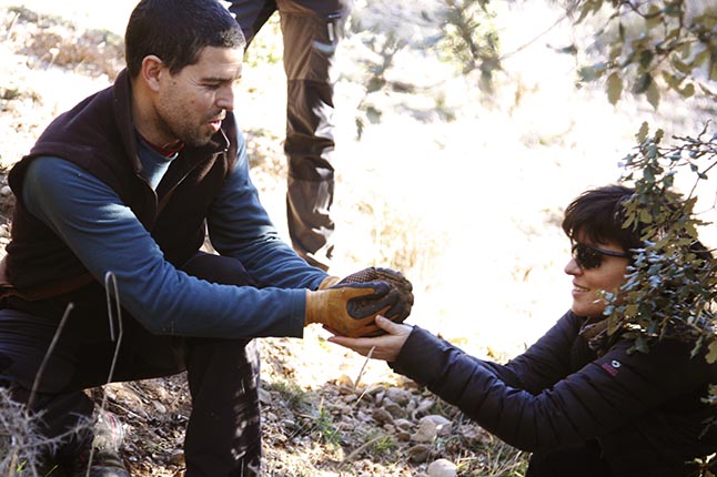 LaTofonera_5507_gran