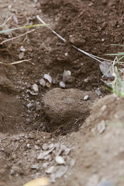 LaTofonera_5530_gran