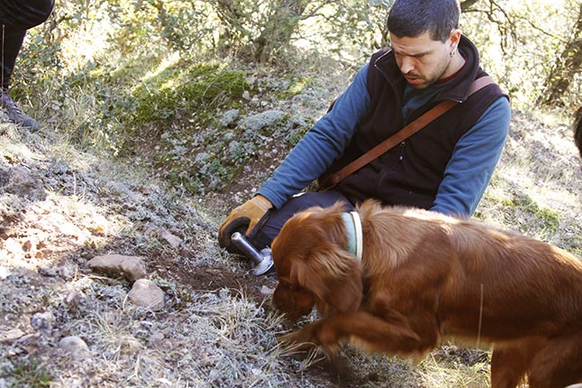 LaTofonera_5572_gran