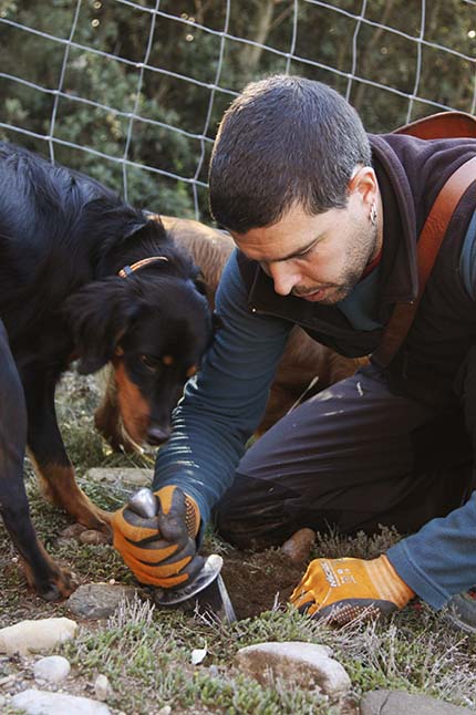 LaTofonera_5635_gran