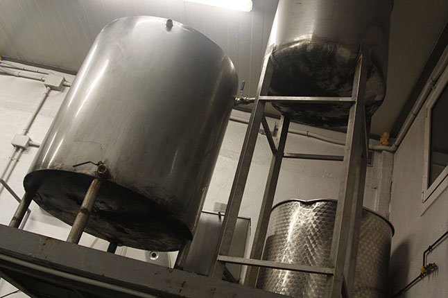 segarreta_6466_large